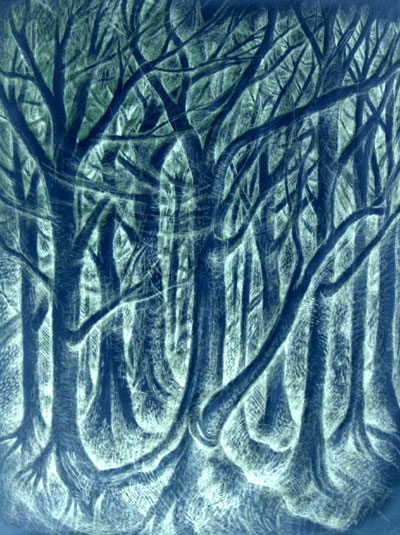 Inverted Forest Inverted Forest