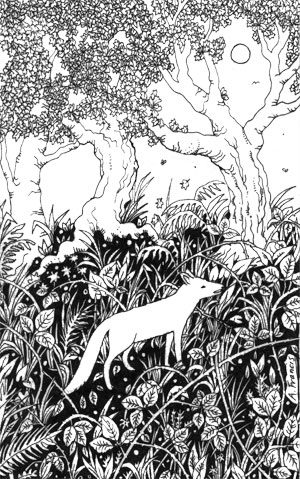 Fox in the Undergrowth