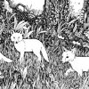 Foxes Abroad Concertina Card