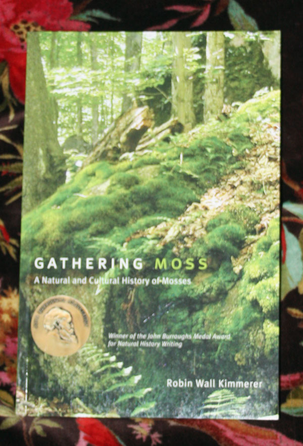 Gathering Moss