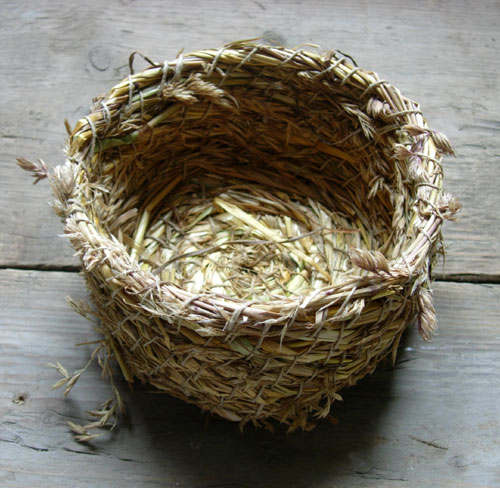 My Grass Basket My Grass Basket