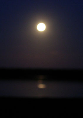 Havergate Island Moon