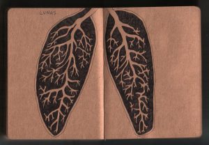 Lungs - diary drawing