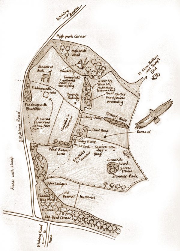 Map of Dead Beech Lane Area
