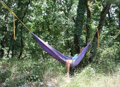 In the Hammock