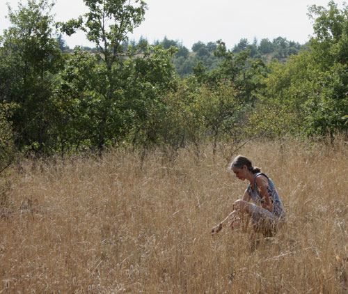 In the Scrub