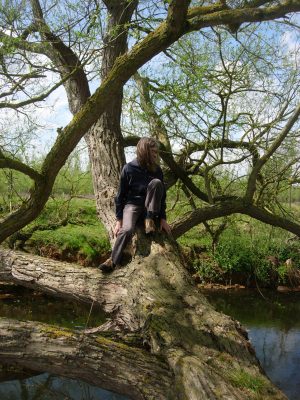 In the willow tree