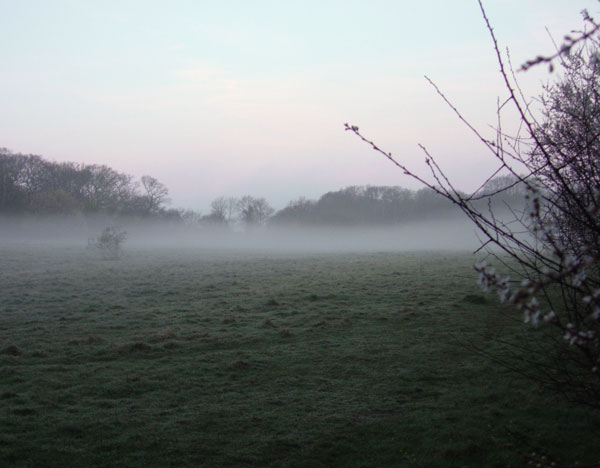 Misty Field at Sunrise