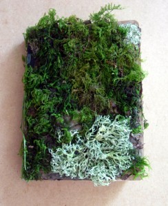 Moss Journal