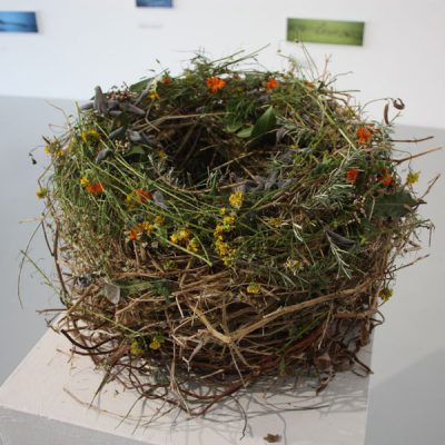 Nest in undercurrents Exhibition