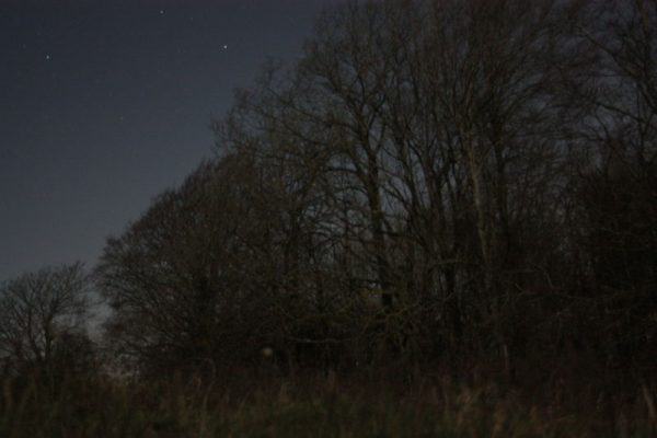 Night Woods - Wolstonbury Hill