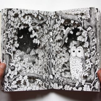 Owl Altered Book