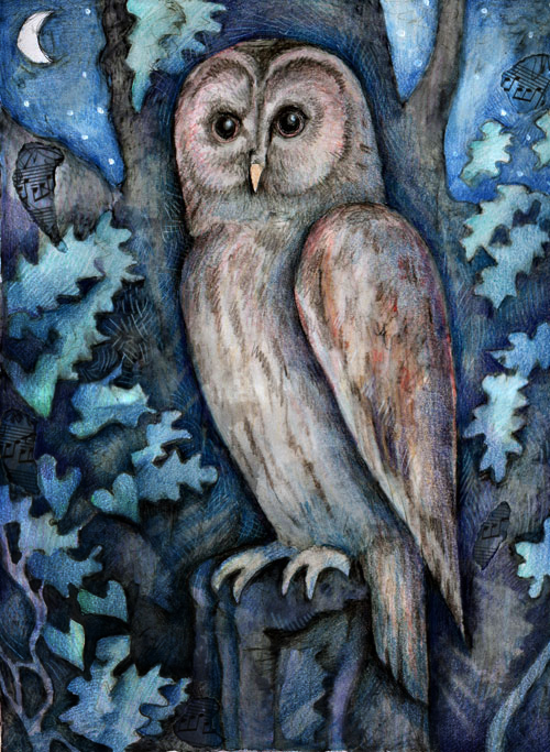 Owl Mixed Media