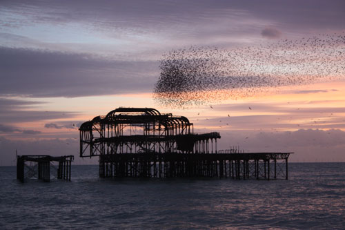 The West Pier at Sunset