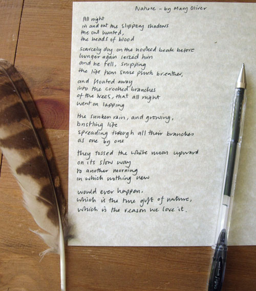 Nature Poem by Mary Oliver