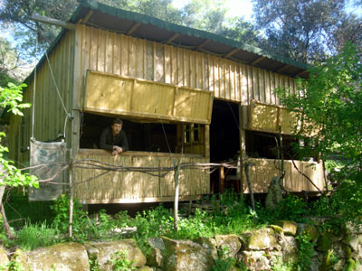 The Boar Hide Pego Ferreiro