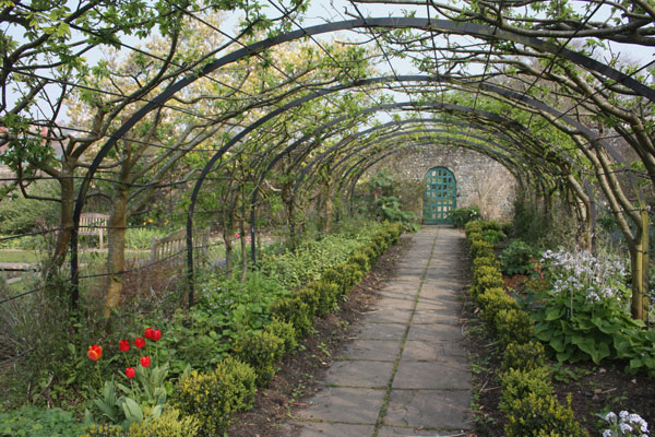 Preston Manor garden