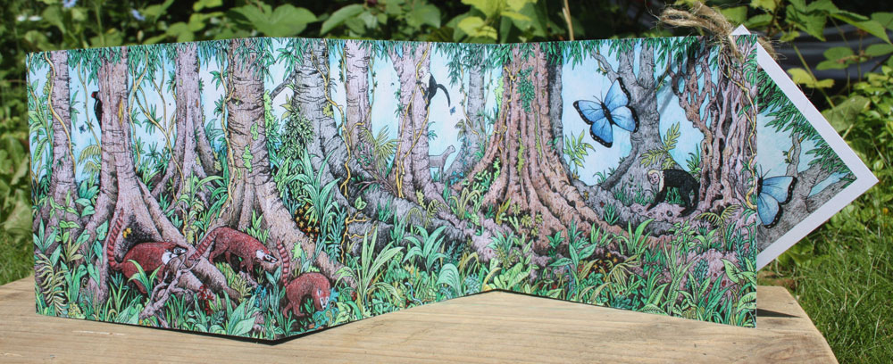 Rainforest concertina Card