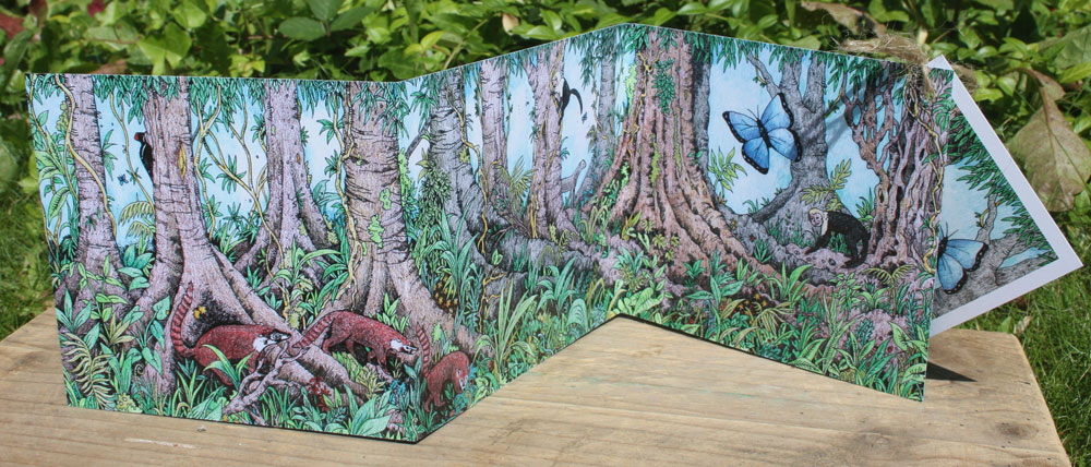rainforest card front