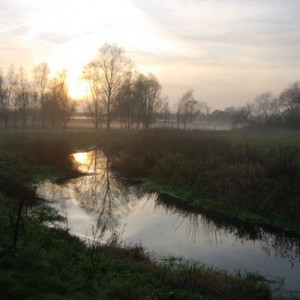 River Adur in Mist