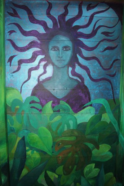 Shed Rainforest mural