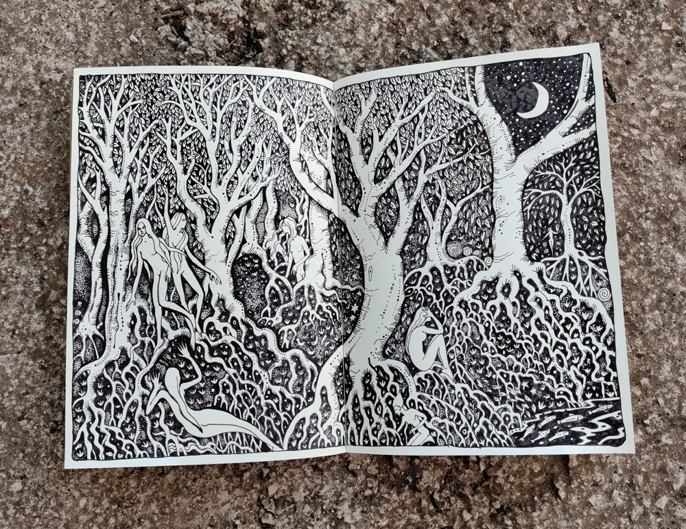 Sketchbook nymph drawing
