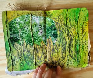 Pett Levels Sketchbook
