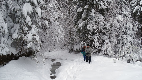 Snowy River