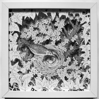 Song Thrush Box Frame