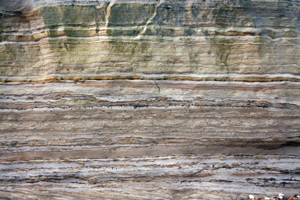 Cliff strata - Pett Level beach