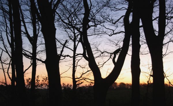 Sunset at High Park Corner