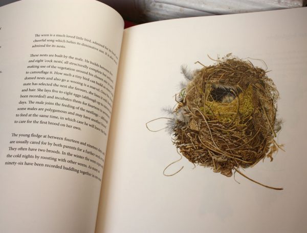 Susan Ogilvy's Wren's Nest
