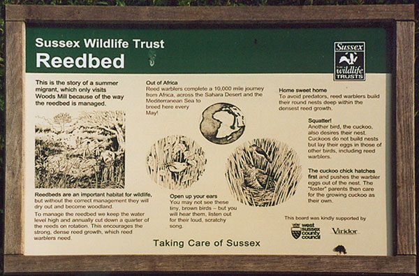 Interpretation Board - Reedbed