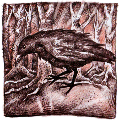 The Crow from The Crow The Crow from The Crow
