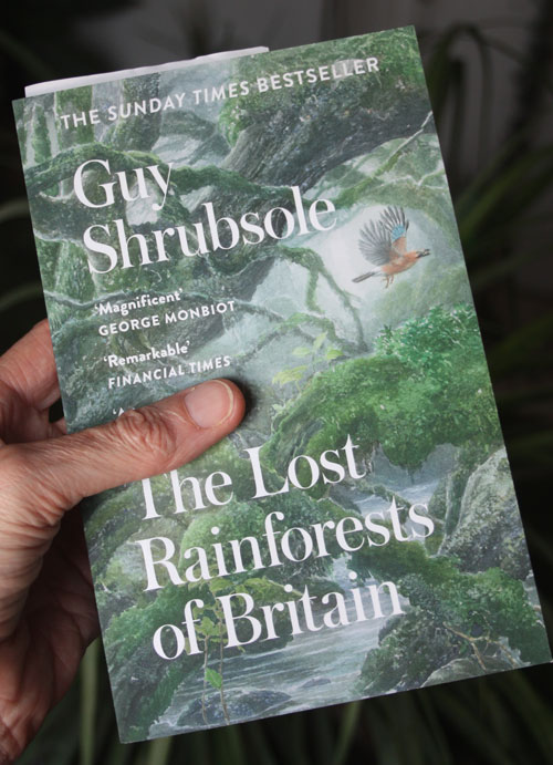 The Lost Rainforests of Britain by Guy Shrubsole