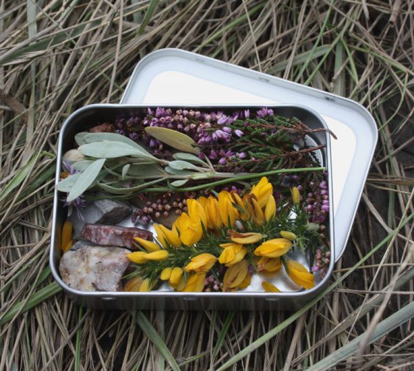 Little tin with finds from Brittany.