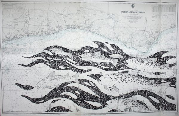 Sea Trout Art Chart