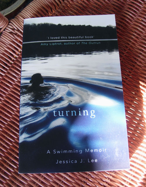 Turning by Jessica J. Lee