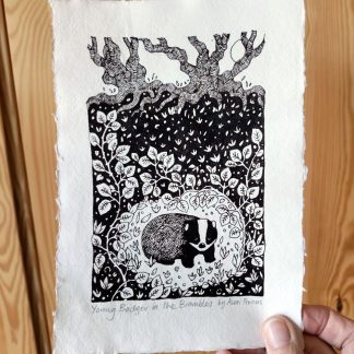 Young Badger in the Brambles